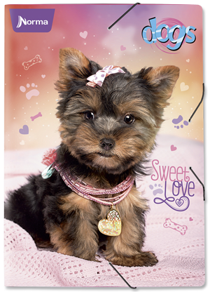carpeta-plastica8.png4