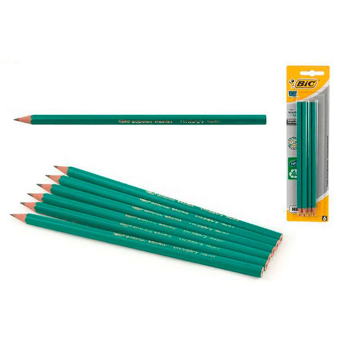 bic-evolution